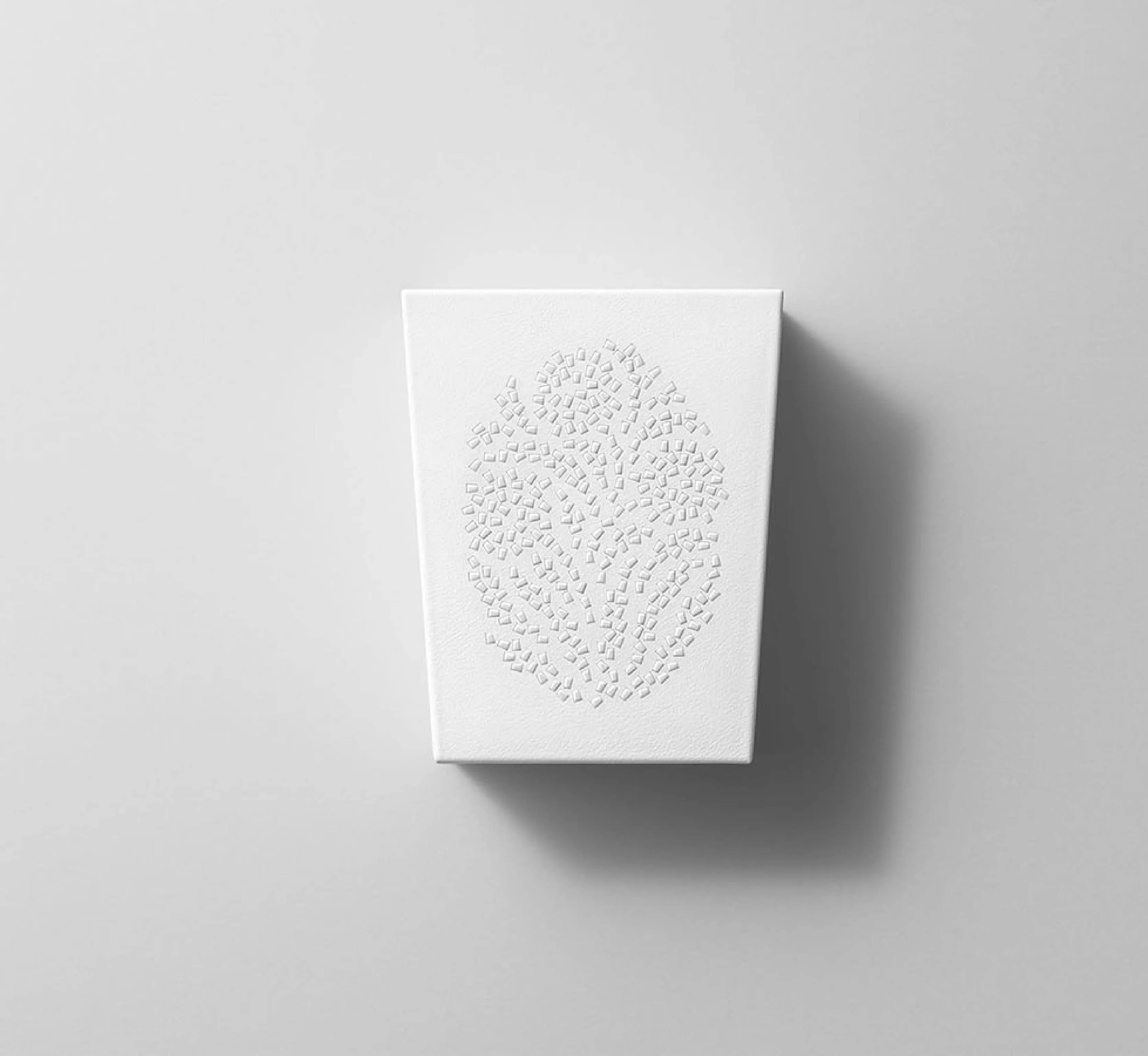 JEWELRY & HOLIC logo / package design