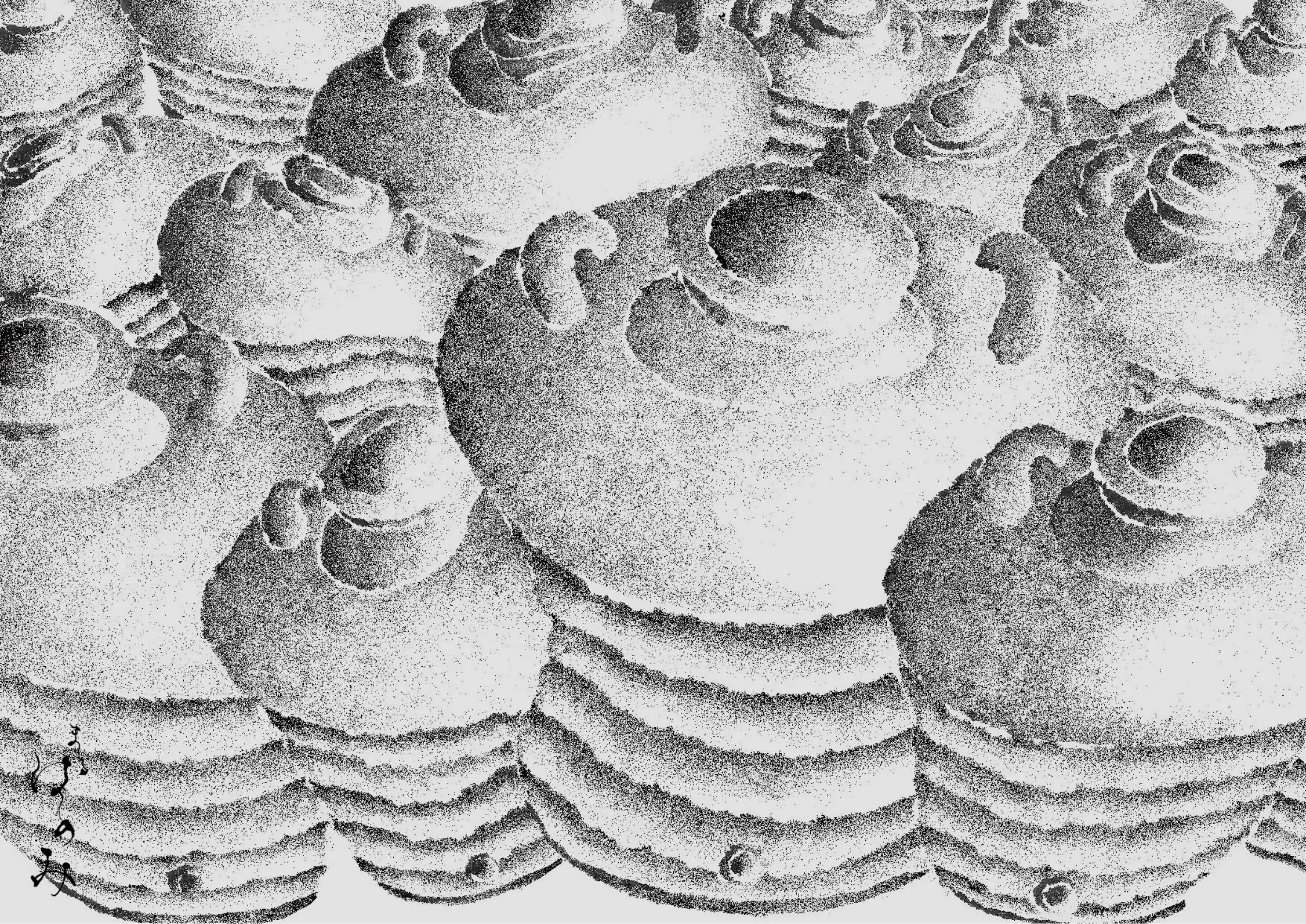まるは醤油